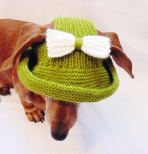 Knitted summer panama for dog, panama for dachshund, summer hat for dog