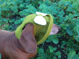 Knitted summer panama for dog, panama for dachshund, summer hat for dog