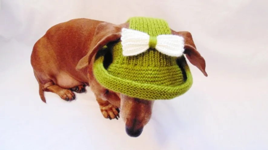 Knitted summer panama for dog, panama for dachshund, summer hat for dog