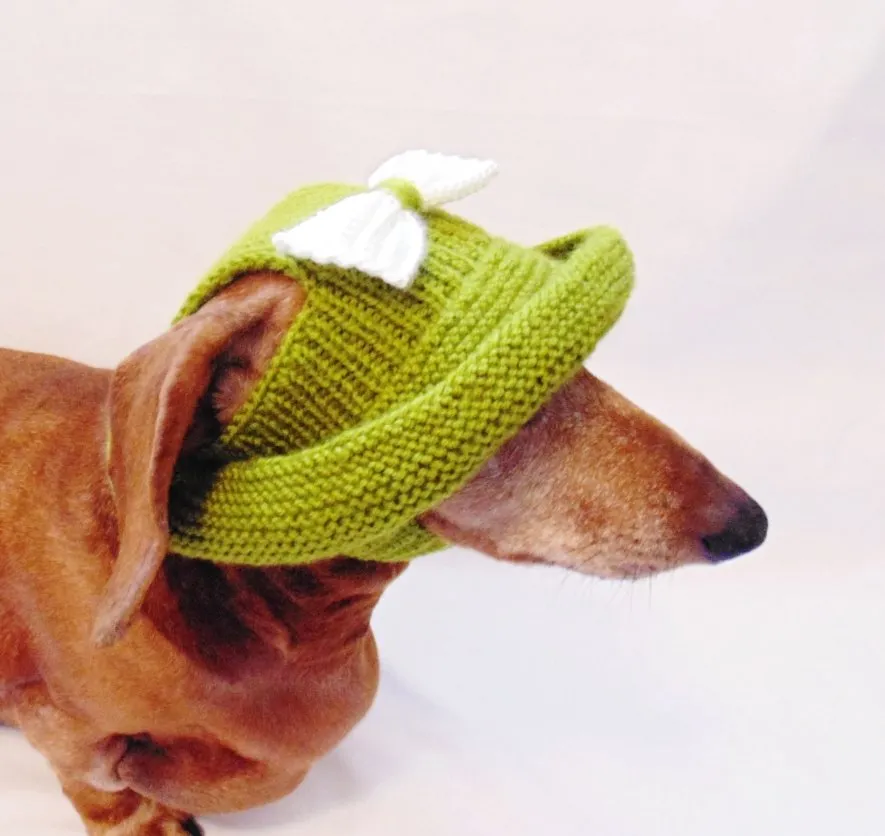 Knitted summer panama for dog, panama for dachshund, summer hat for dog