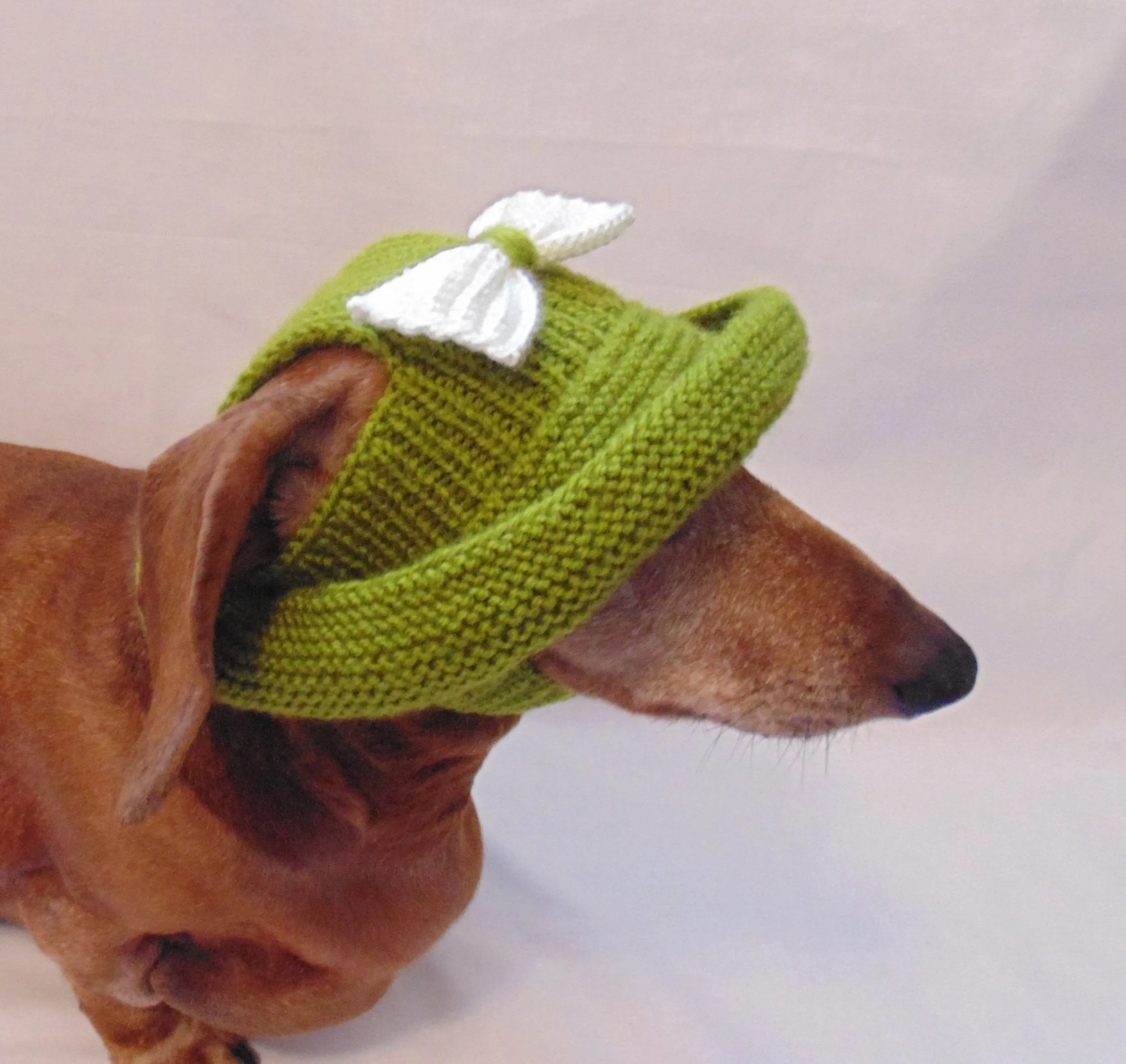 Knitted summer panama for dog, panama for dachshund, summer hat for dog