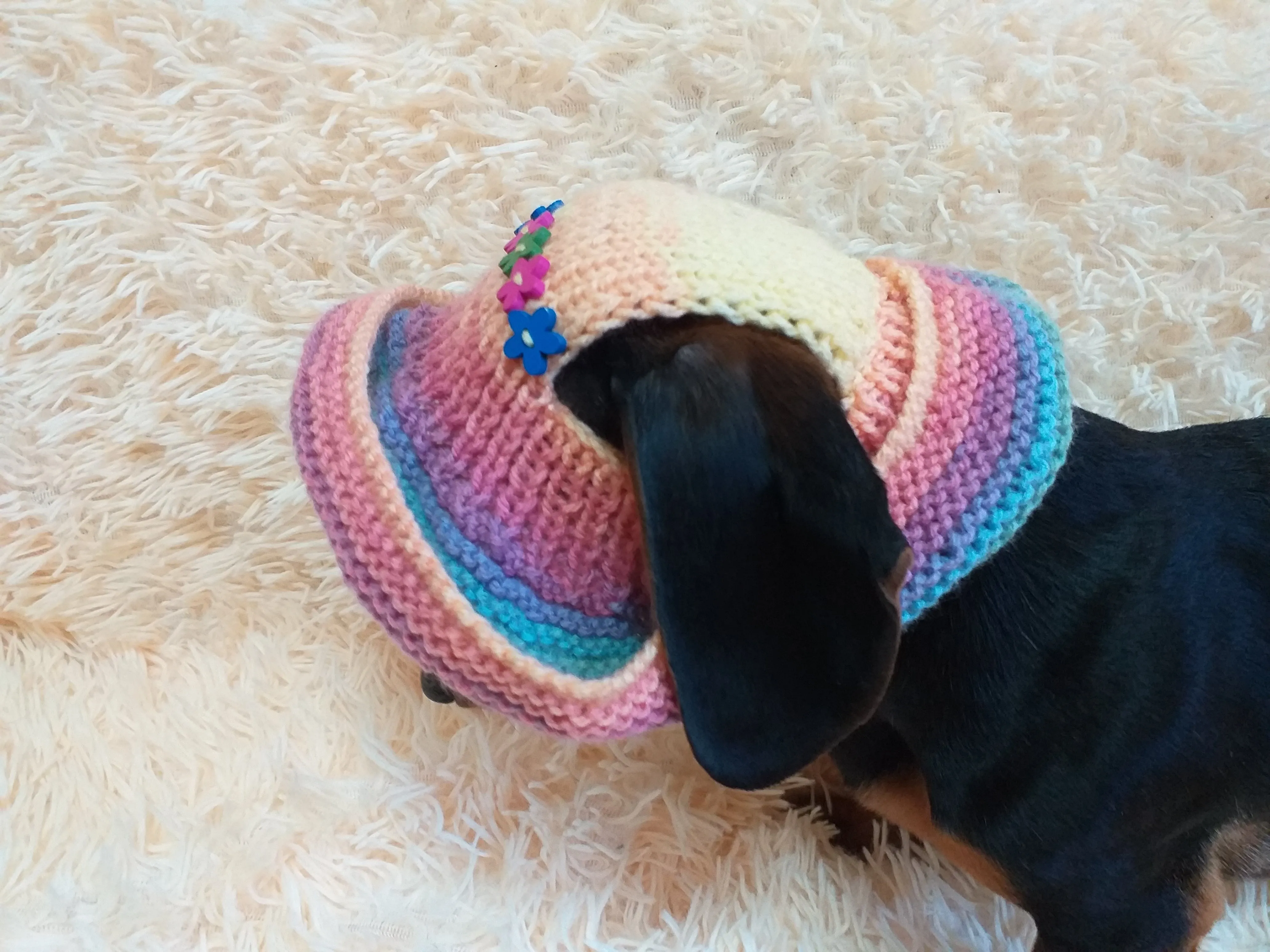 Rainbow panama hat with flowers for a dog, Summer hat for a dog with flowers, summer hat with flowers for a dachshund or small dog