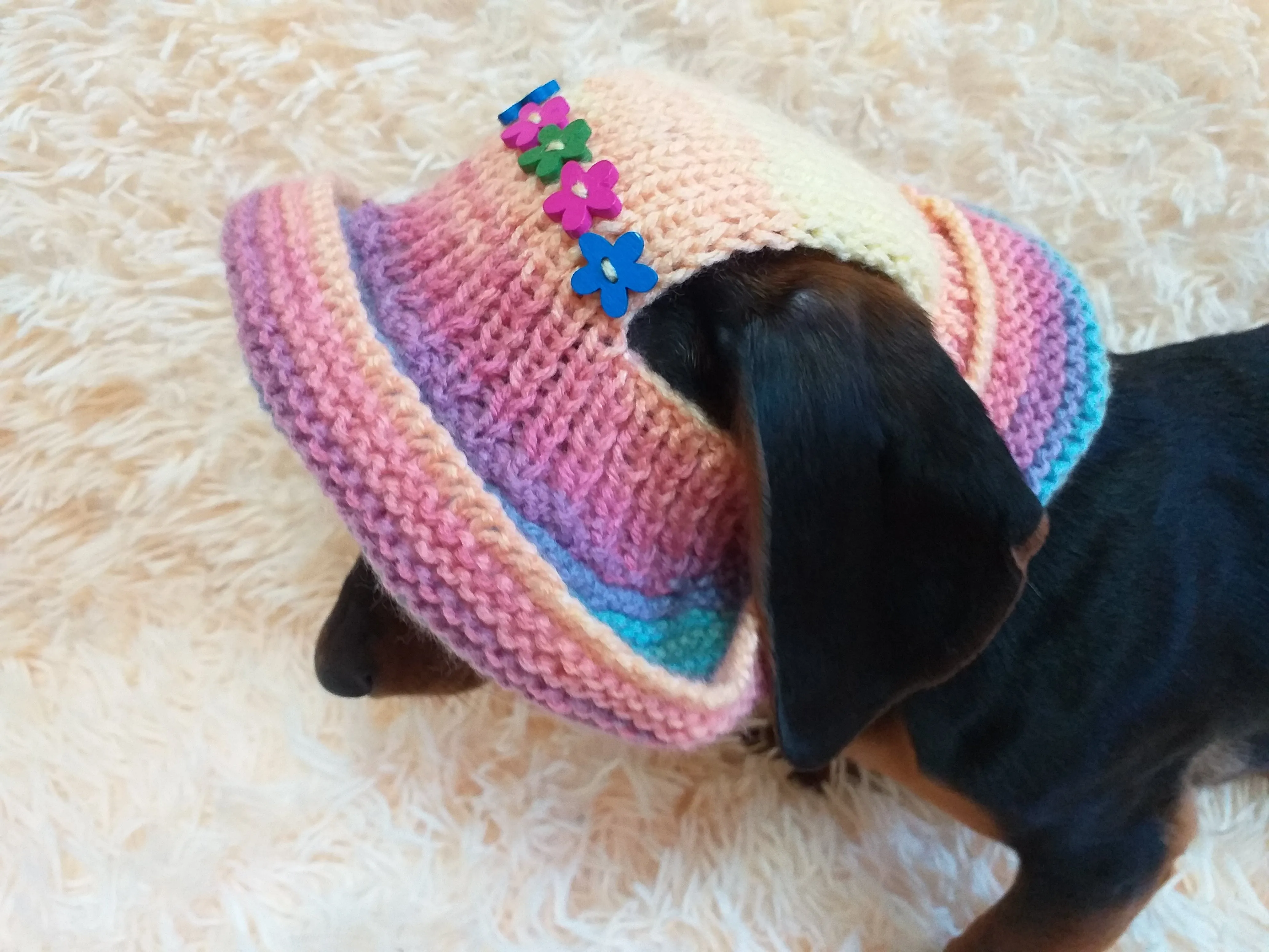 Rainbow panama hat with flowers for a dog, Summer hat for a dog with flowers, summer hat with flowers for a dachshund or small dog