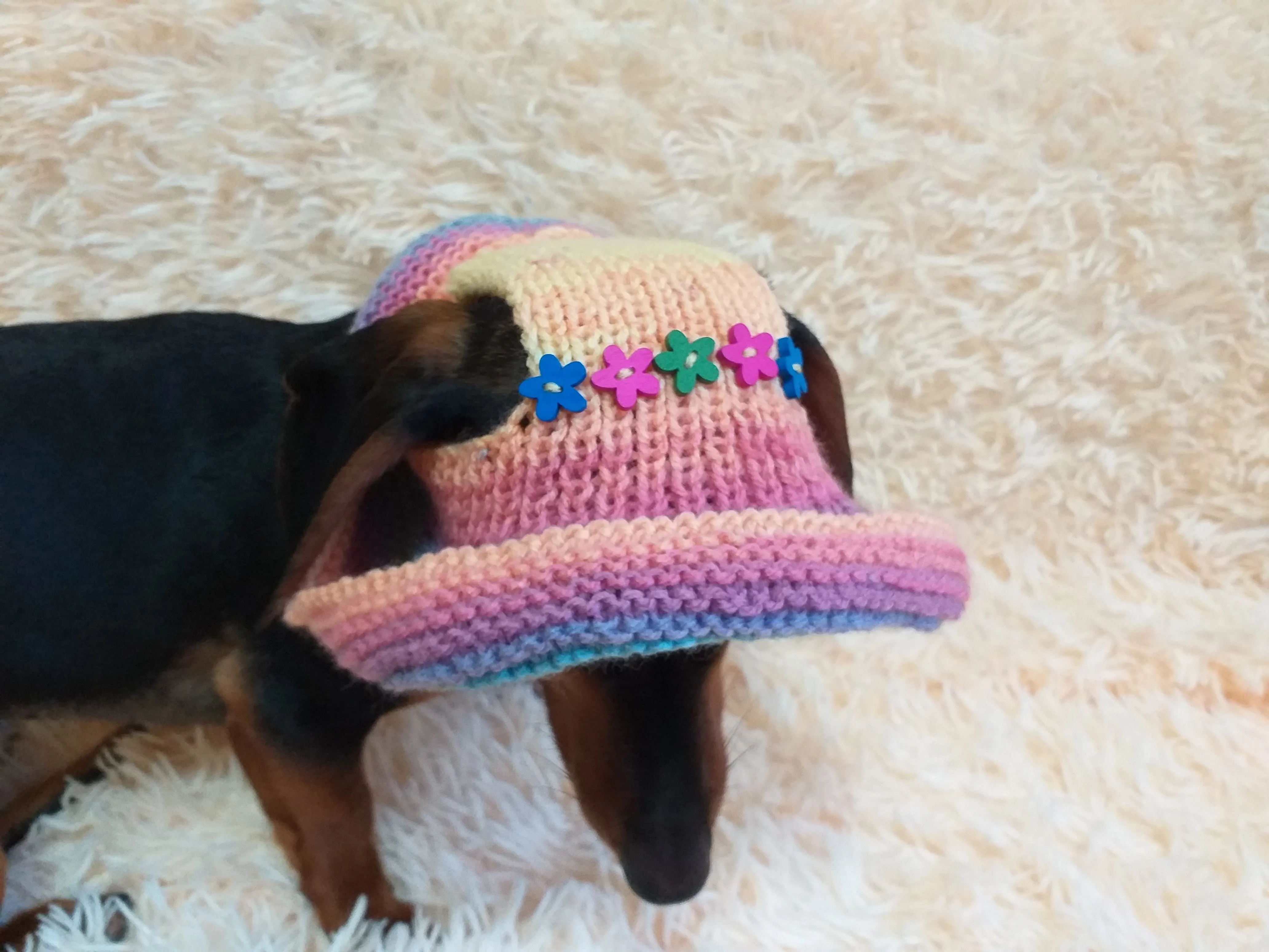 Rainbow panama hat with flowers for a dog, Summer hat for a dog with flowers, summer hat with flowers for a dachshund or small dog