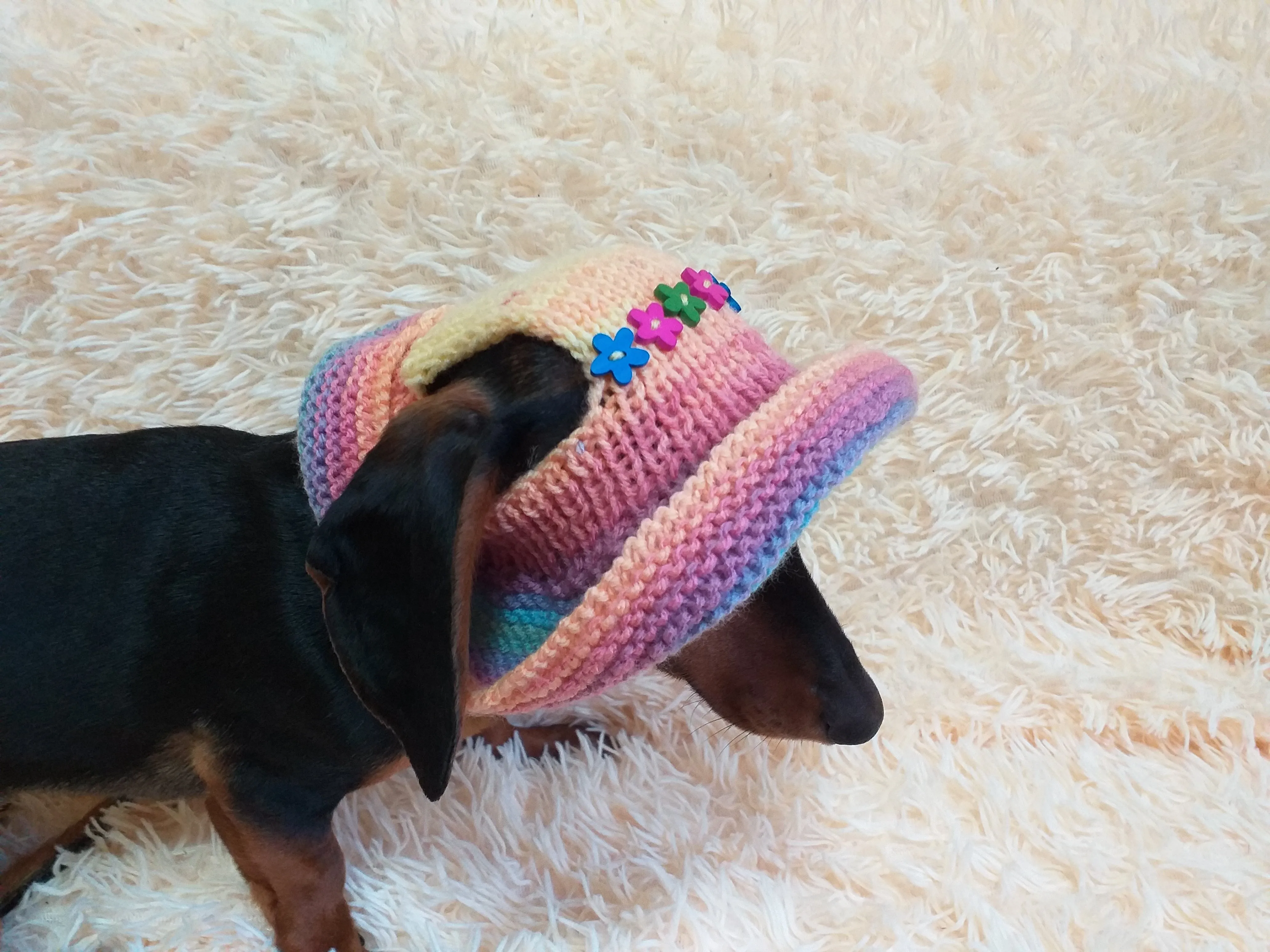 Rainbow panama hat with flowers for a dog, Summer hat for a dog with flowers, summer hat with flowers for a dachshund or small dog