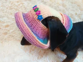 Rainbow panama hat with flowers for a dog, Summer hat for a dog with flowers, summer hat with flowers for a dachshund or small dog