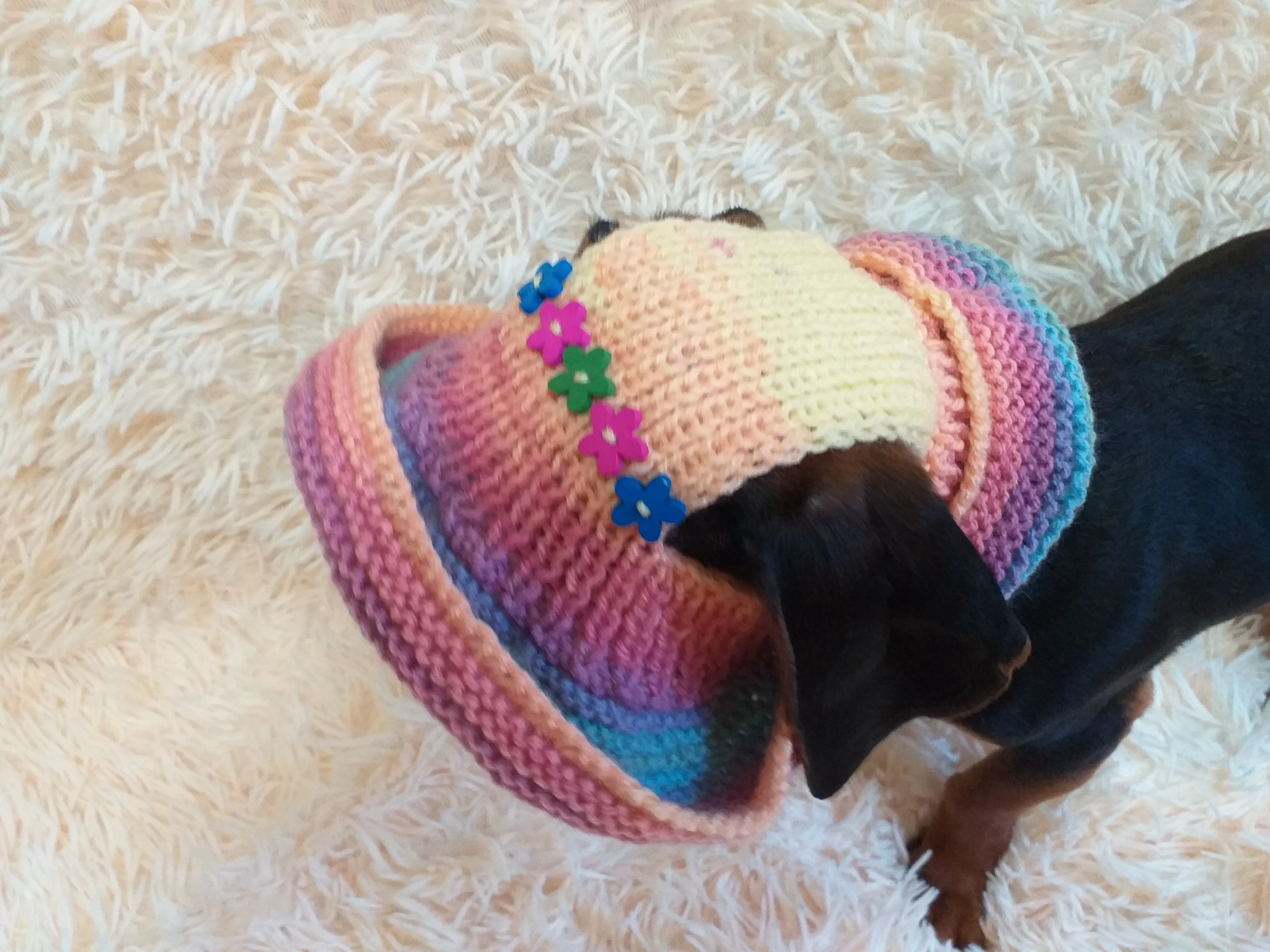 Rainbow panama hat with flowers for a dog, Summer hat for a dog with flowers, summer hat with flowers for a dachshund or small dog