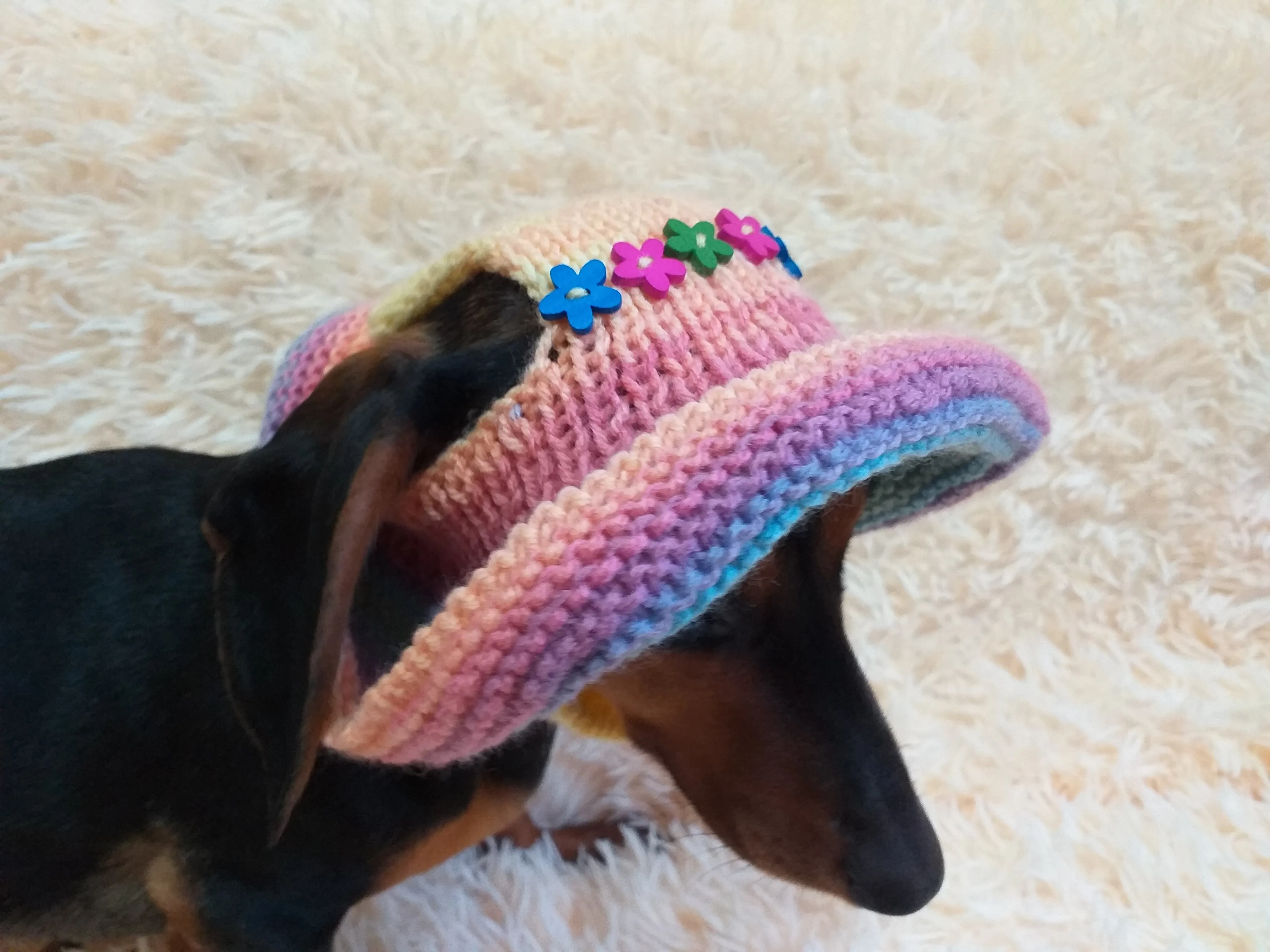 Rainbow panama hat with flowers for a dog, Summer hat for a dog with flowers, summer hat with flowers for a dachshund or small dog